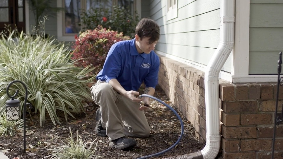 Ledford’s Termite And Pest Control